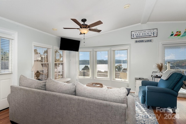 living room featuring lofted ceiling with beams, hardwood / wood-style flooring, ceiling fan, and crown molding