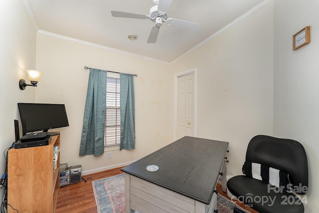 office featuring light hardwood / wood-style flooring, ceiling fan, and crown molding