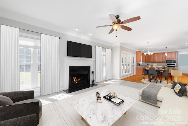 living room with ceiling fan with notable chandelier, ornamental molding, and light wood-type flooring