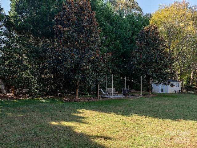 view of yard featuring a patio area and a storage unit