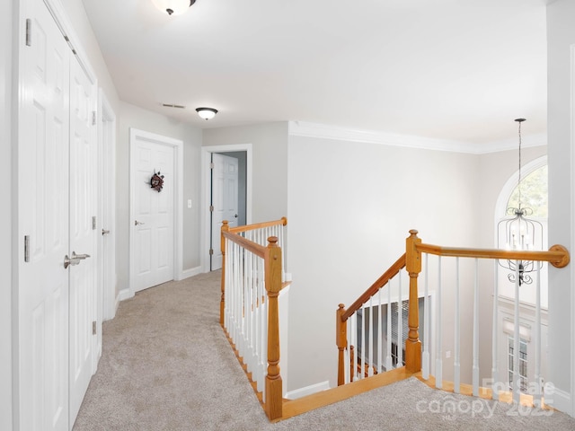 hall with crown molding and light colored carpet