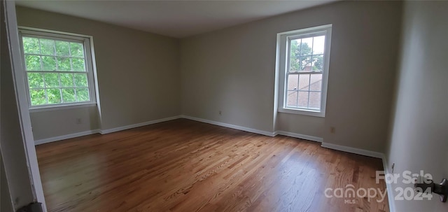 spare room with a wealth of natural light and light hardwood / wood-style floors