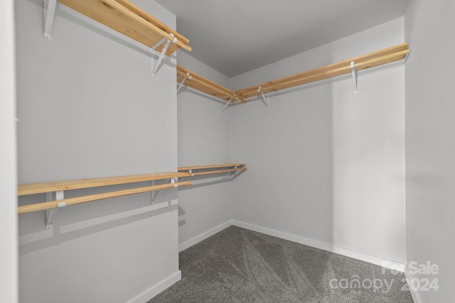 spacious closet featuring dark colored carpet