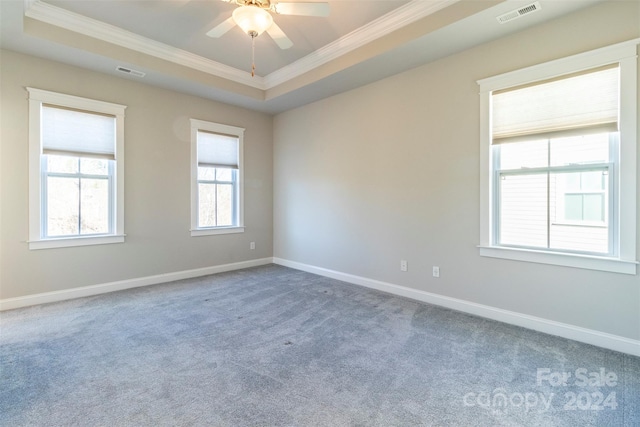 unfurnished room featuring ceiling fan, carpet, ornamental molding, and a raised ceiling