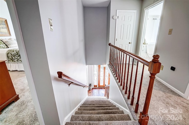 staircase with carpet floors