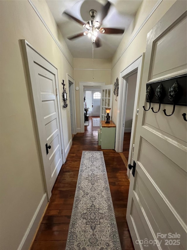 hall featuring dark hardwood / wood-style floors