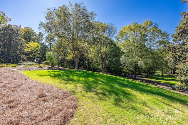 4141 Shattalon Dr, Winston Salem, NC 27106 - view of green lawn
