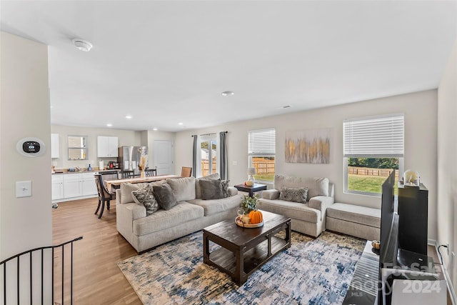 living room featuring light hardwood / wood-style floors