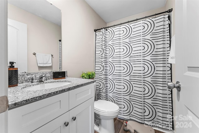 bathroom with hardwood / wood-style flooring, vanity, curtained shower, and toilet