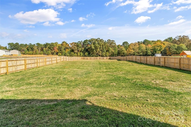 view of yard