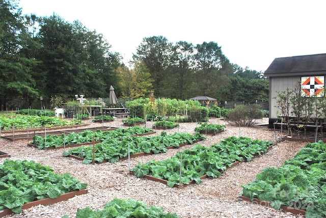 view of yard with a shed