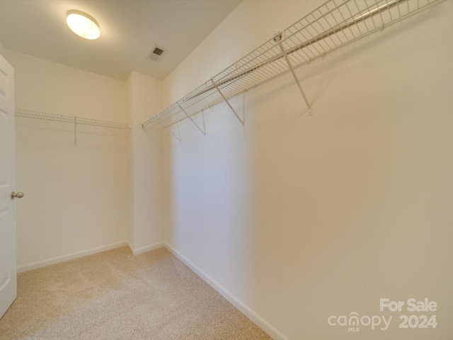 spacious closet with carpet