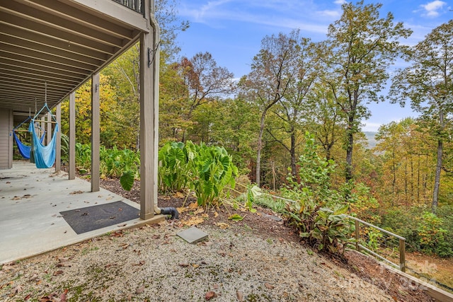 view of yard with a patio area