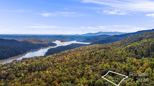 view of mountain feature with a water view