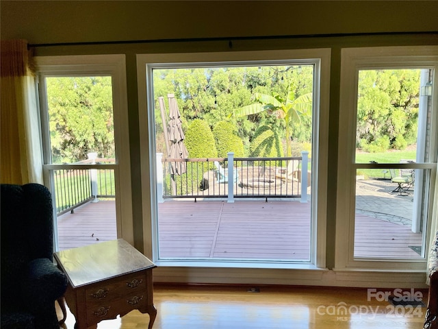 entryway with hardwood / wood-style floors