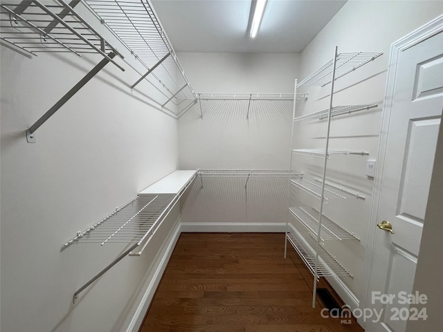 walk in closet with dark hardwood / wood-style flooring