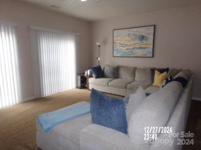 living room featuring carpet and a healthy amount of sunlight