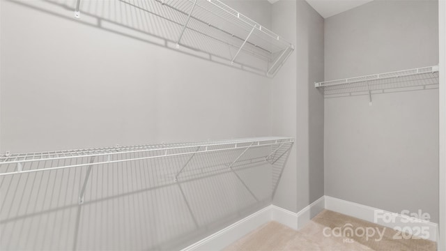 view of spacious closet