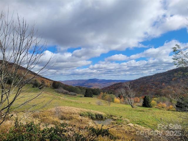 property view of mountains with a rural view