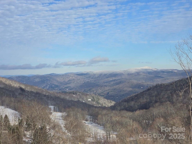 view of mountain feature