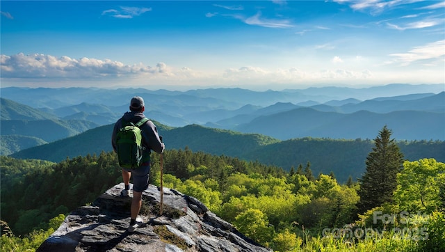 property view of mountains featuring a wooded view