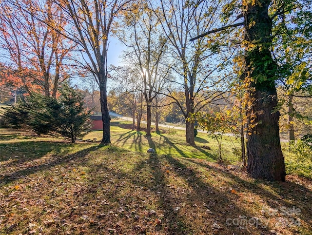 view of yard