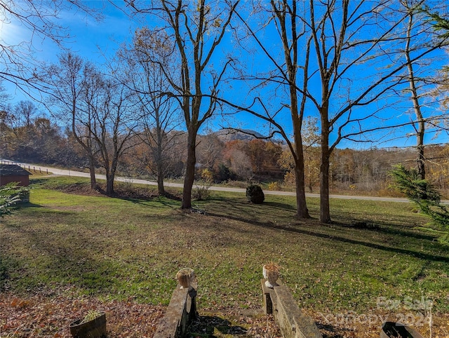 view of yard