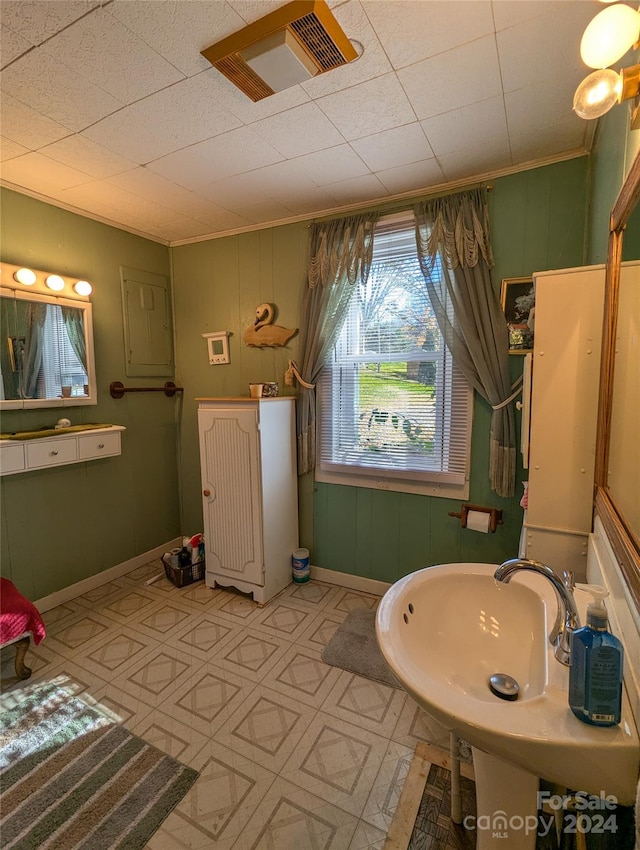 bathroom with crown molding and electric panel