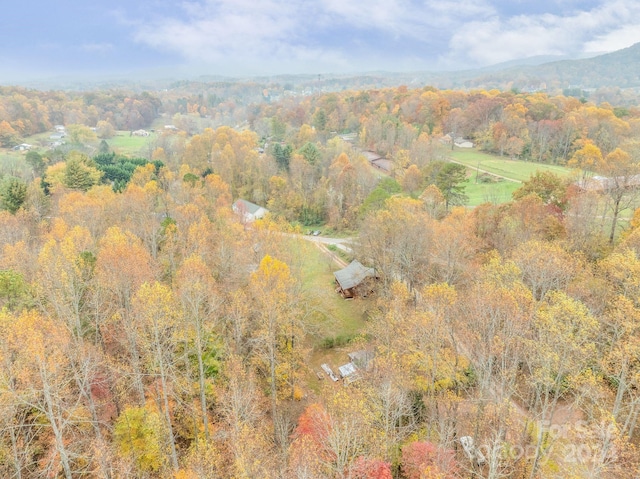 bird's eye view featuring a mountain view