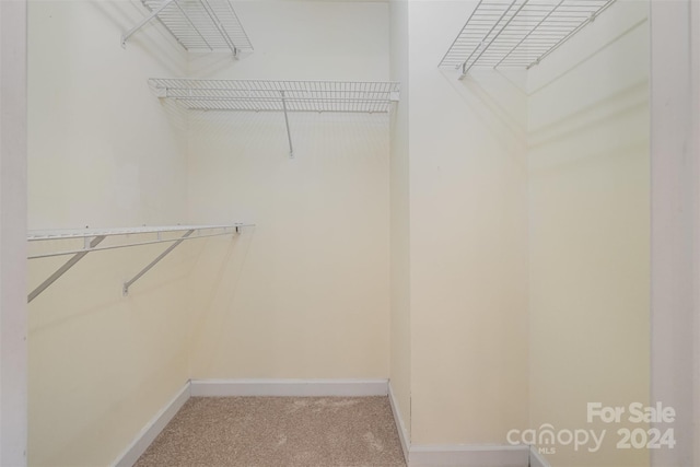 spacious closet with carpet floors