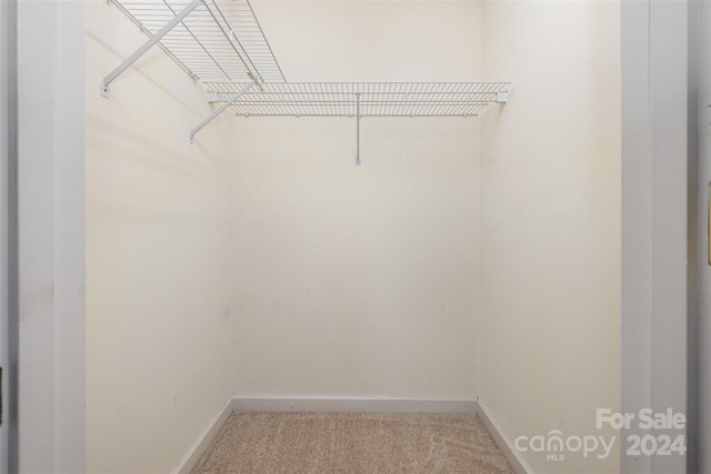 walk in closet with carpet floors