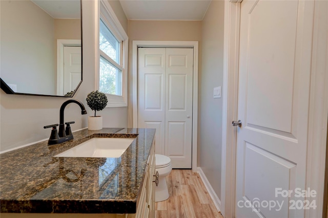 bathroom featuring vanity, toilet, and wood-type flooring