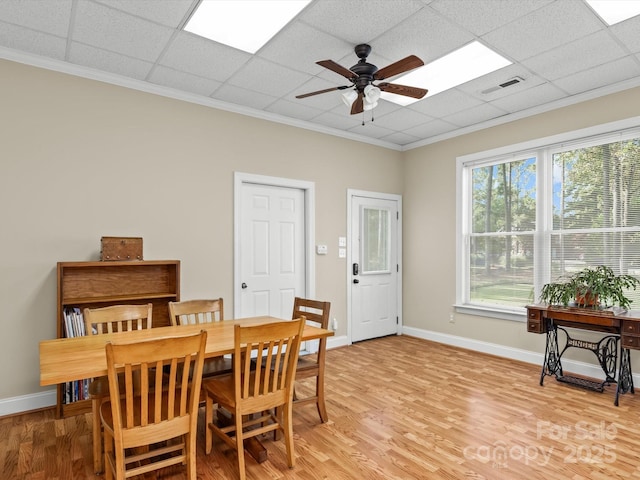 dining space with a drop ceiling, light hardwood / wood-style floors, ceiling fan, and crown molding