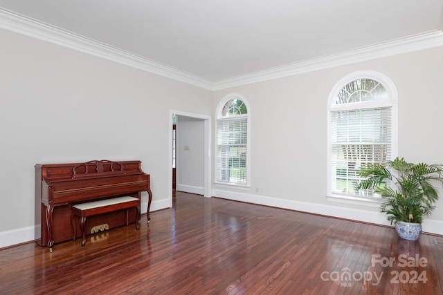 misc room featuring crown molding, dark wood-type flooring, and a wealth of natural light