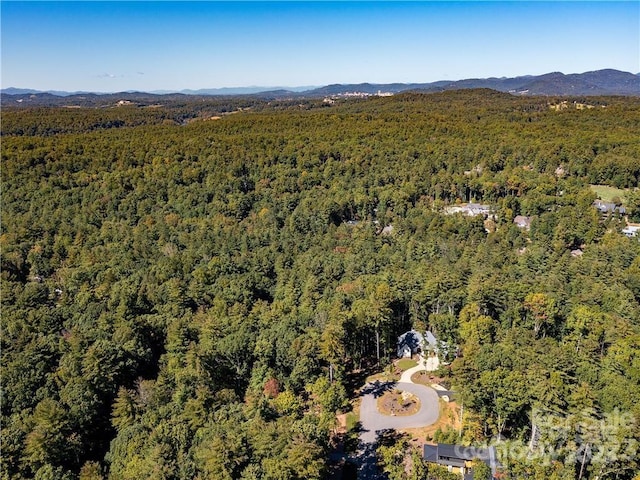 114 Lochstead Ct Unit 409, Asheville, NC 28803 - photo 5
