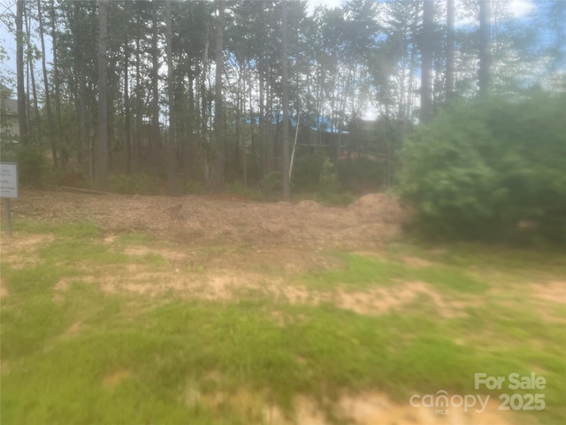 114 Lochstead Ct Unit 409, Asheville, NC 28803 - photo 6