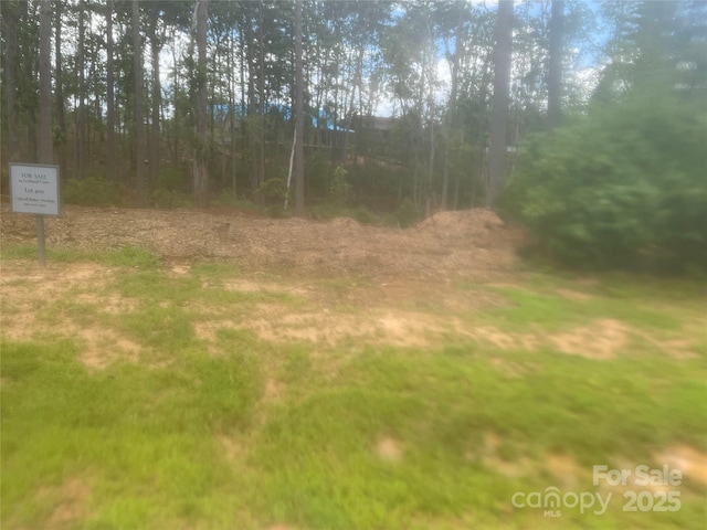 114 Lochstead Ct Unit 409, Asheville, NC 28803 - photo 7