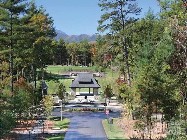 114 Lochstead Ct Unit 409, Asheville, NC 28803 - photo 21
