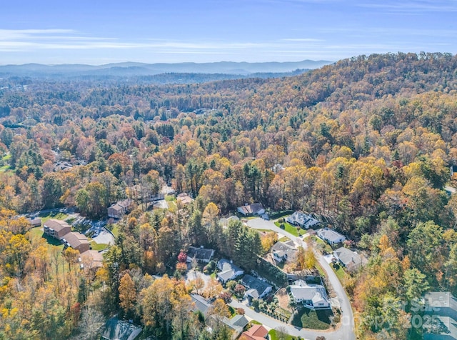 birds eye view of property featuring a mountain view