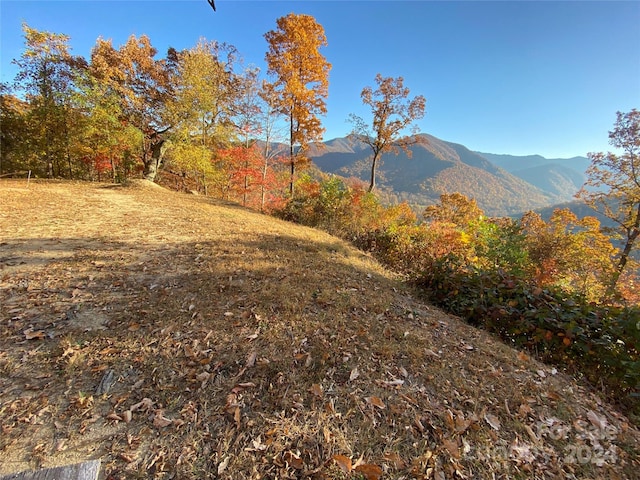 40 Cougar Ln Unit 13, 14, 15, 16, Maggie Valley NC, 28751 land for sale