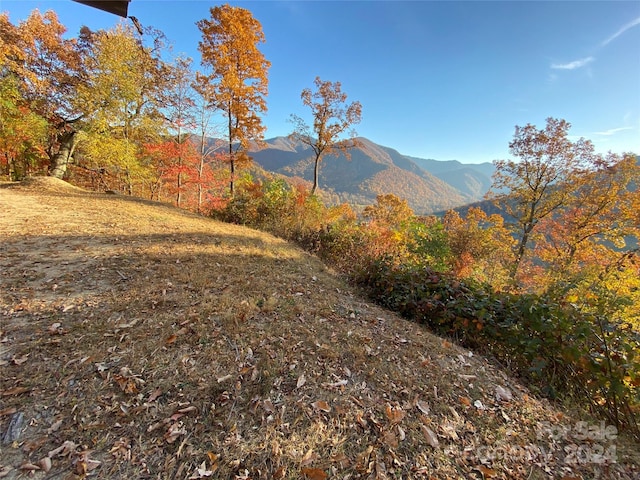 Listing photo 2 for 40 Cougar Ln Unit 13, 14, 15, 16, Maggie Valley NC 28751