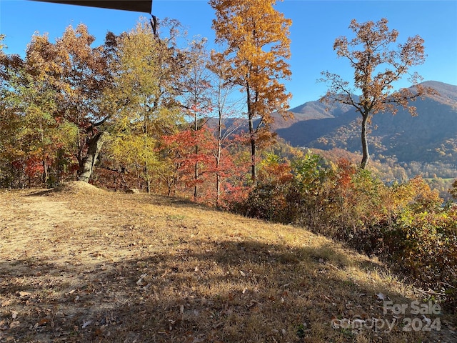 Listing photo 3 for 40 Cougar Ln Unit 13, 14, 15, 16, Maggie Valley NC 28751