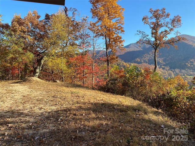 40 Cougar Ln Unit 13, 14, 15, 16, Maggie Valley, NC 28751 - photo 3