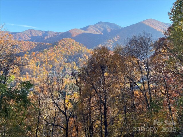 40 Cougar Ln Unit 13, 14, 15, 16, Maggie Valley, NC 28751 - photo 4