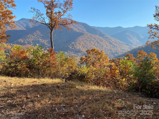 40 Cougar Ln Unit 13, 14, 15, 16, Maggie Valley, NC 28751 - photo 5