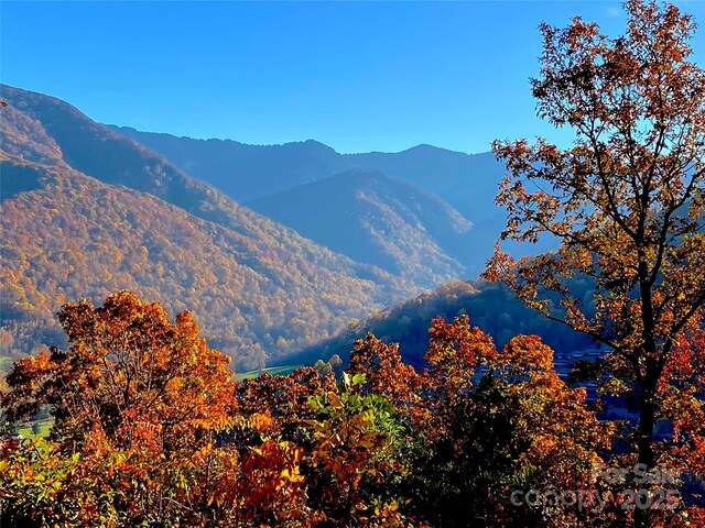 40 Cougar Ln Unit 13, 14, 15, 16, Maggie Valley, NC 28751 - photo 6