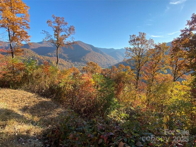 40 Cougar Ln Unit 13, 14, 15, 16, Maggie Valley, NC 28751 - photo 7