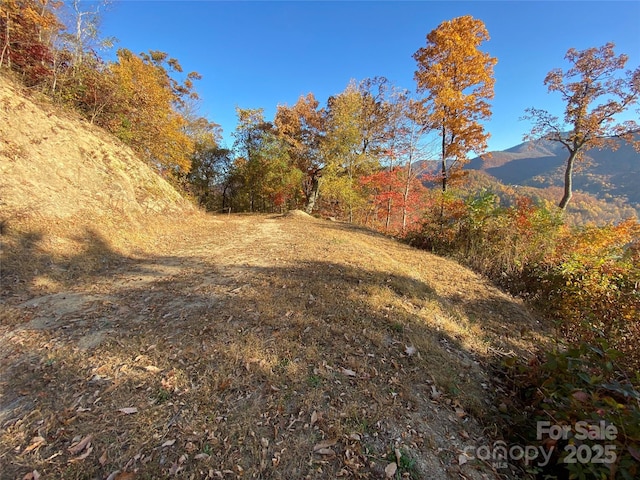 40 Cougar Ln Unit 13, 14, 15, 16, Maggie Valley, NC 28751 - photo 9
