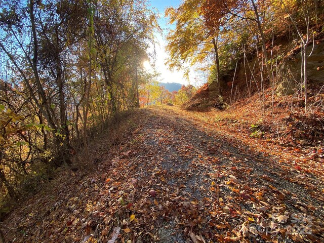 40 Cougar Ln Unit 13, 14, 15, 16, Maggie Valley, NC 28751 - photo 12