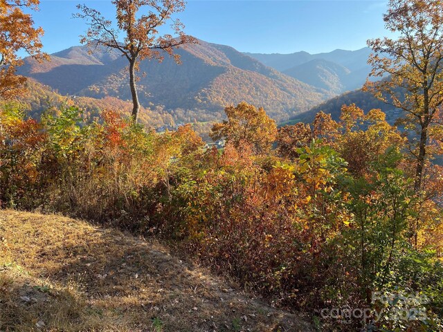 40 Cougar Ln Unit 13, 14, 15, 16, Maggie Valley, NC 28751 - photo 17